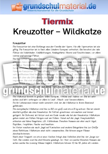 Kreuzotter - Wildkatze.pdf